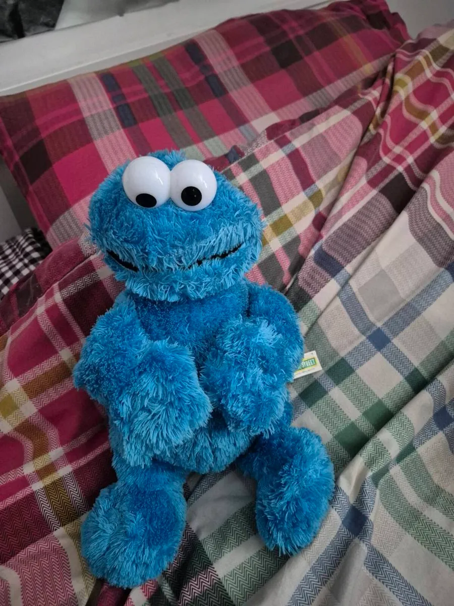 COOKIE+ELMO - Image 2
