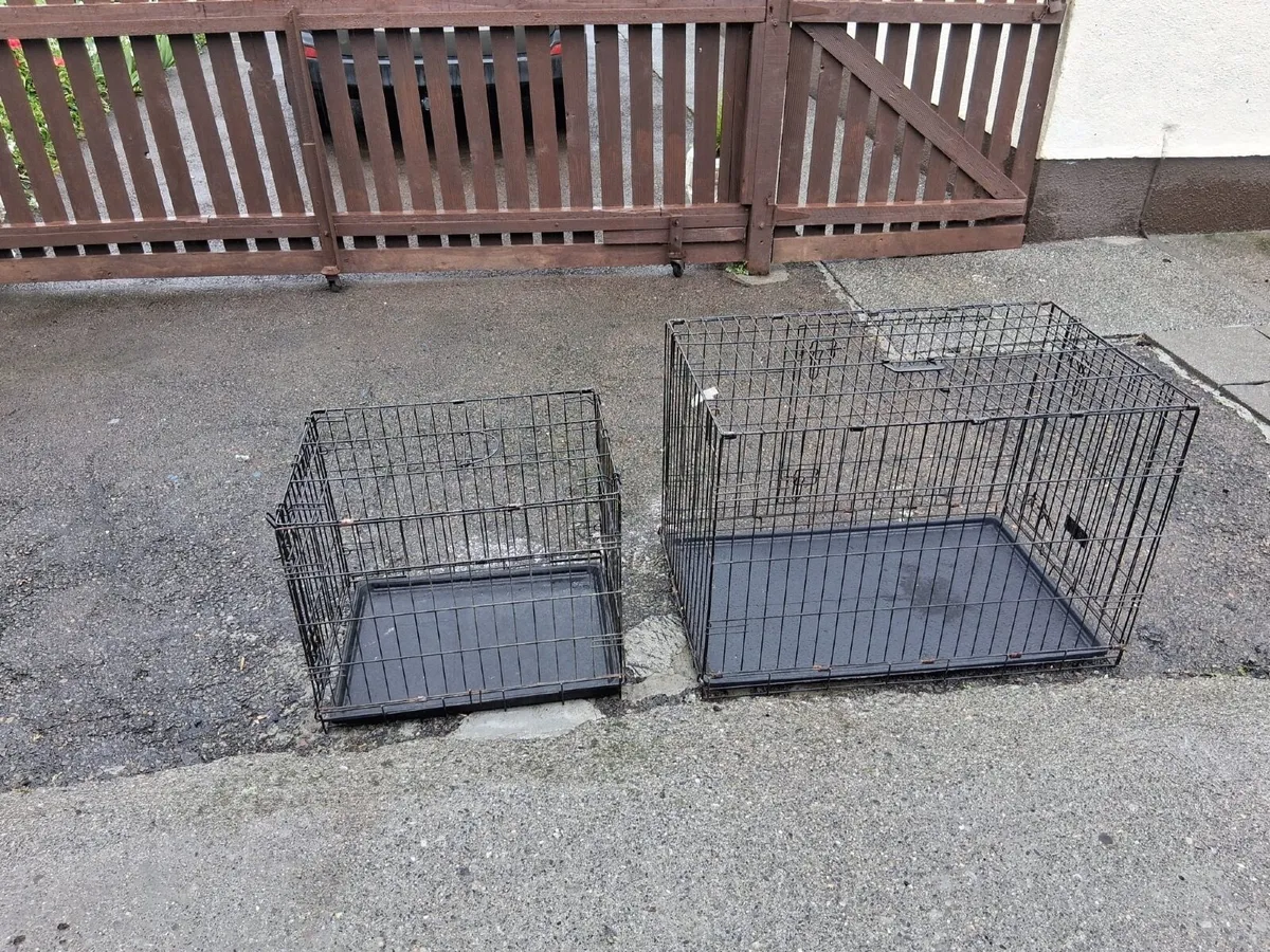 Dog Crate