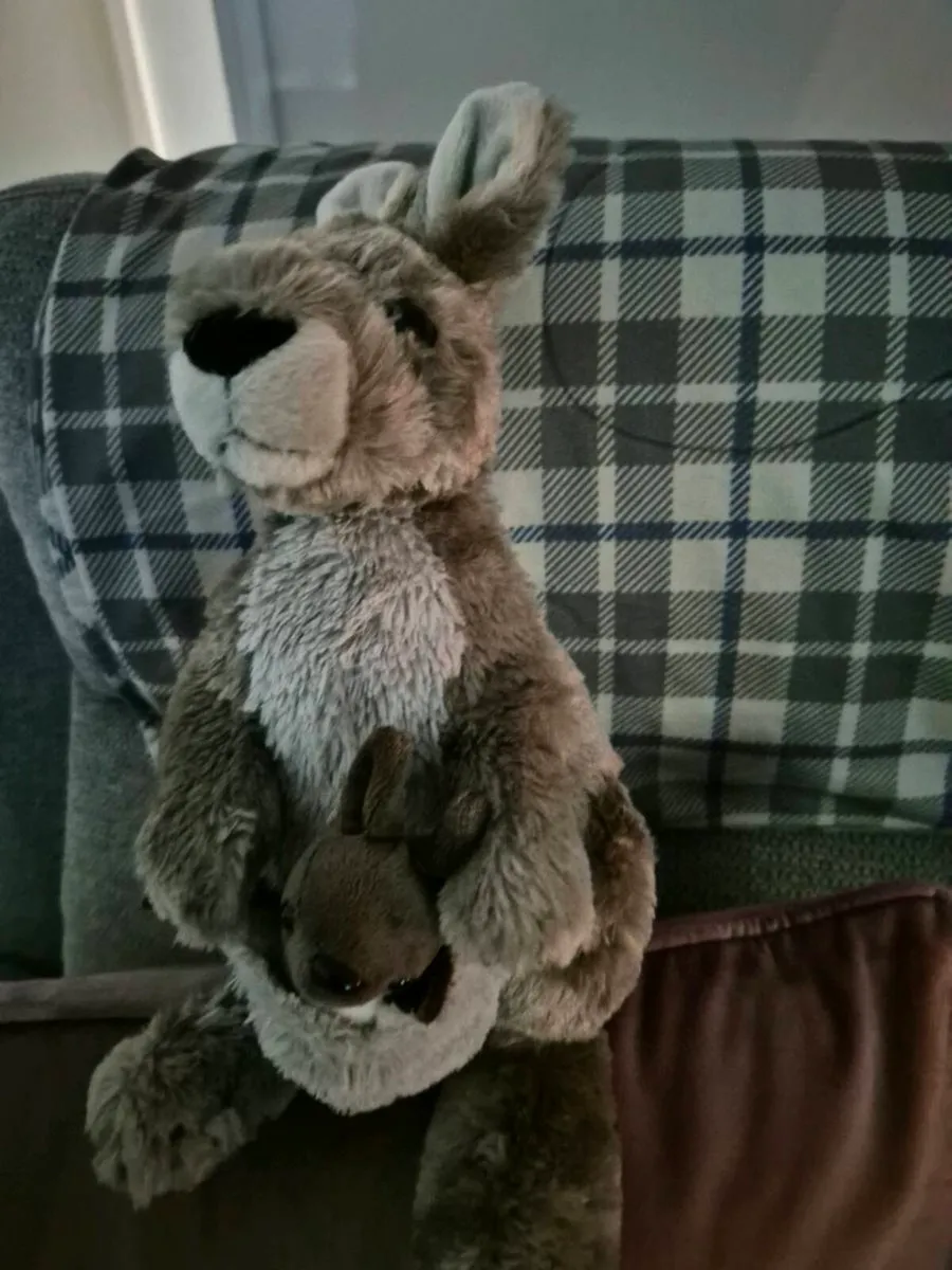 WILD REPUBLIC KANGAROOS - Image 1