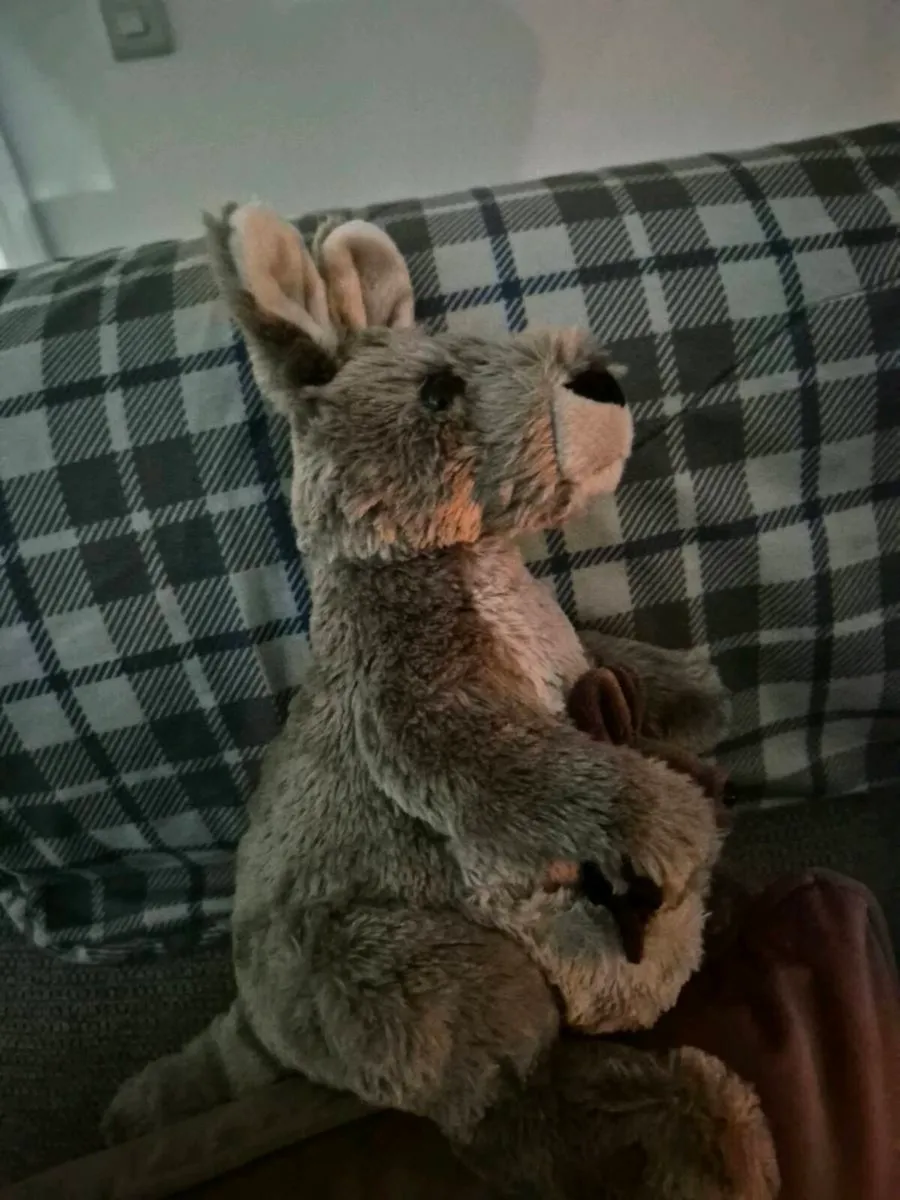 WILD REPUBLIC KANGAROOS - Image 3