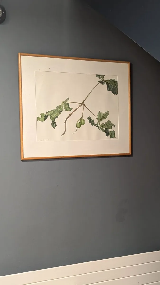 Art - Image 1