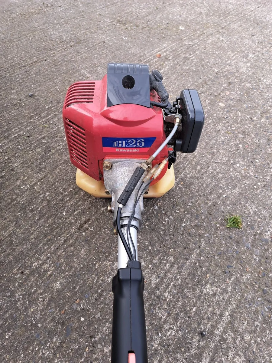Strimmer - Image 1