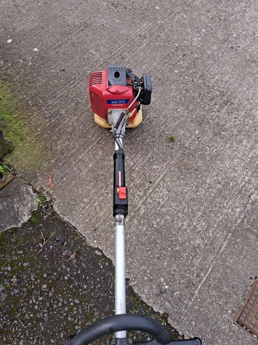 Strimmer - Image 2