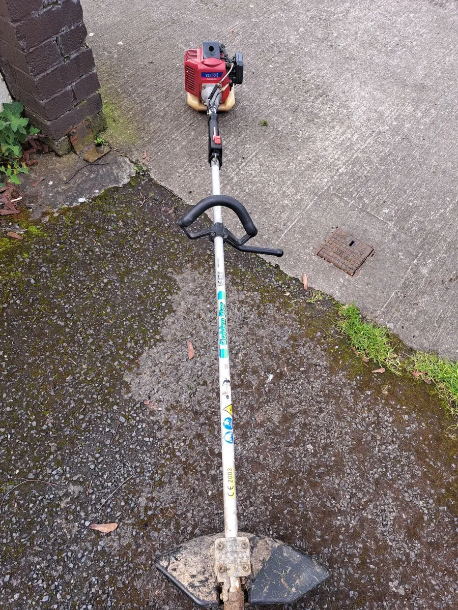 Strimmer - Image 3