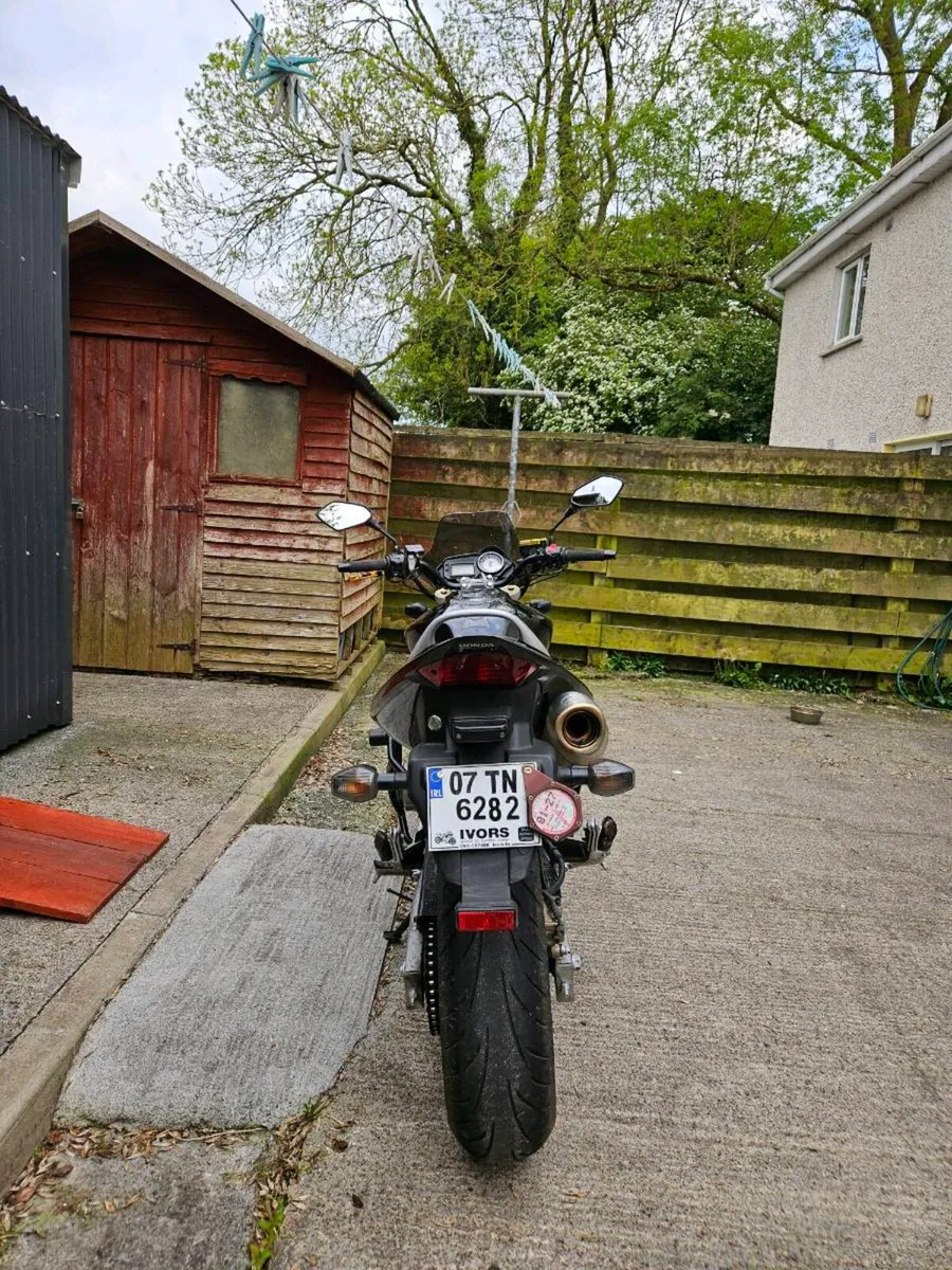 Honda Hornet 600 - Image 4