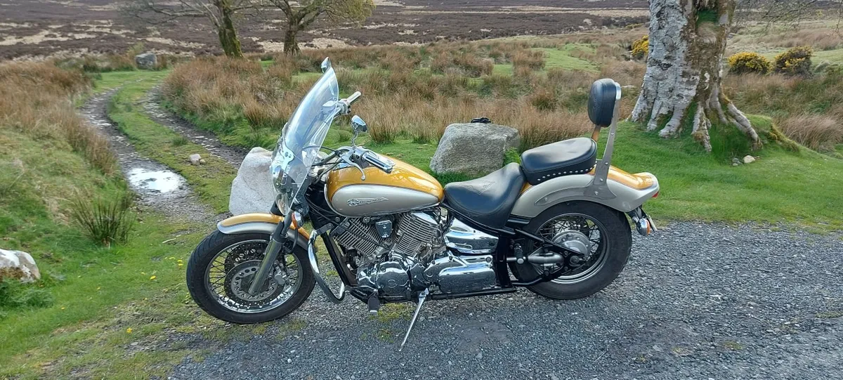 YAMAHA  DRAGSTAR XVS1100 CUSTOM / CRUISER - Image 3