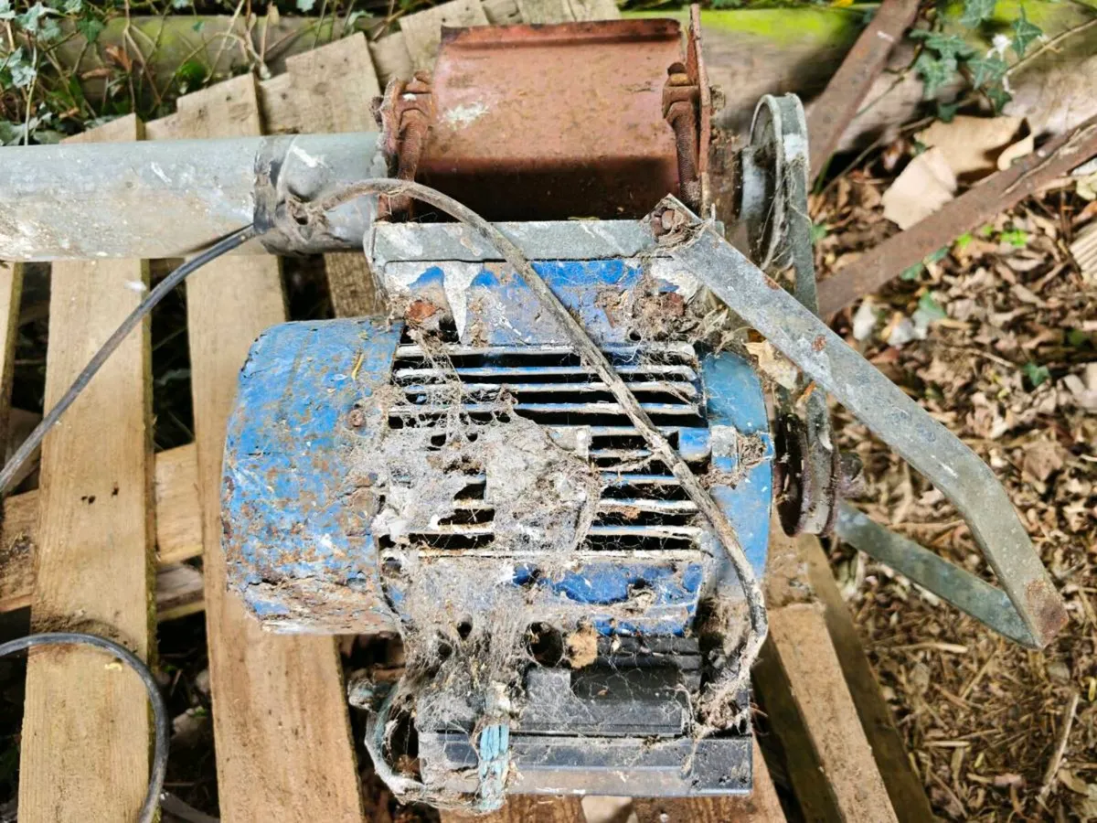 Auger grain worm drive 240v 20ft - Image 2