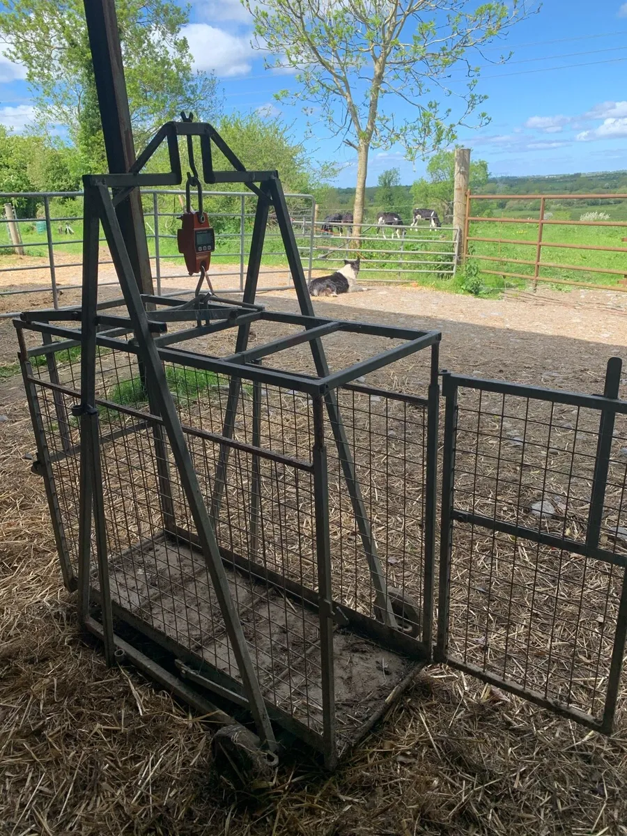 Sheep Equipment - Image 1