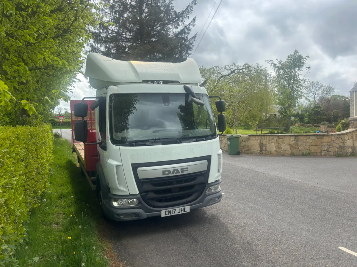 Daf beavertail - Image 2
