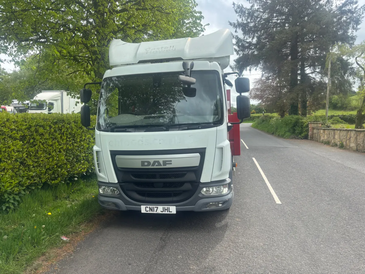 Daf beavertail - Image 3