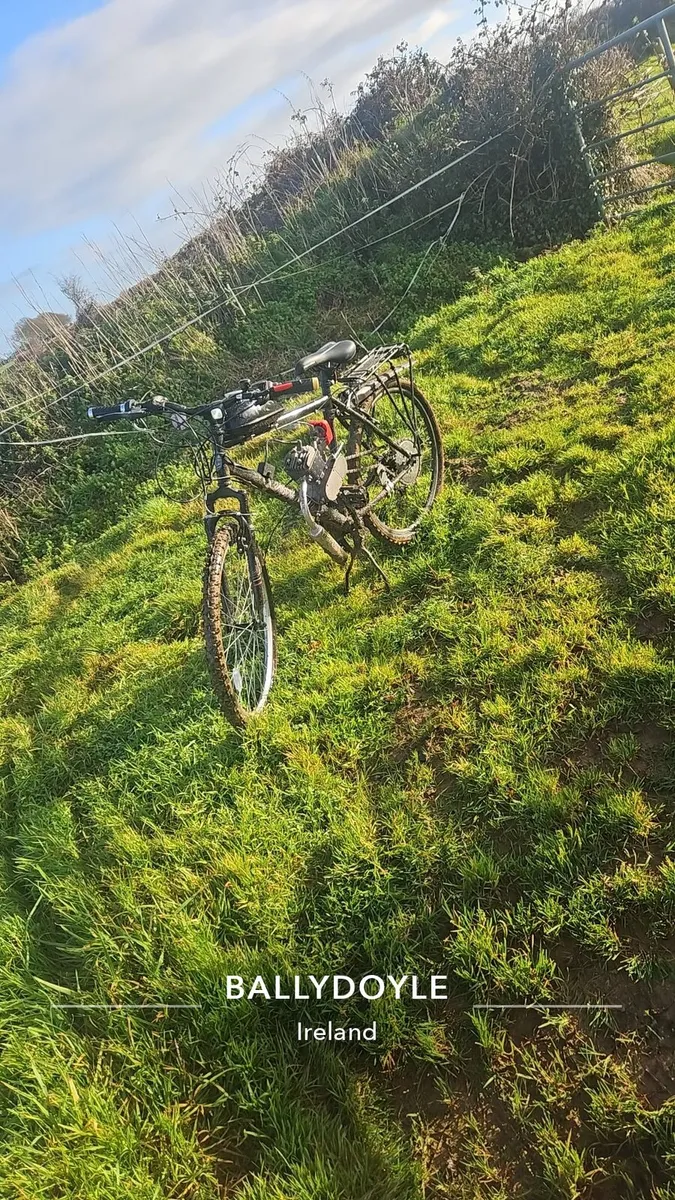 Engine bike - Image 2