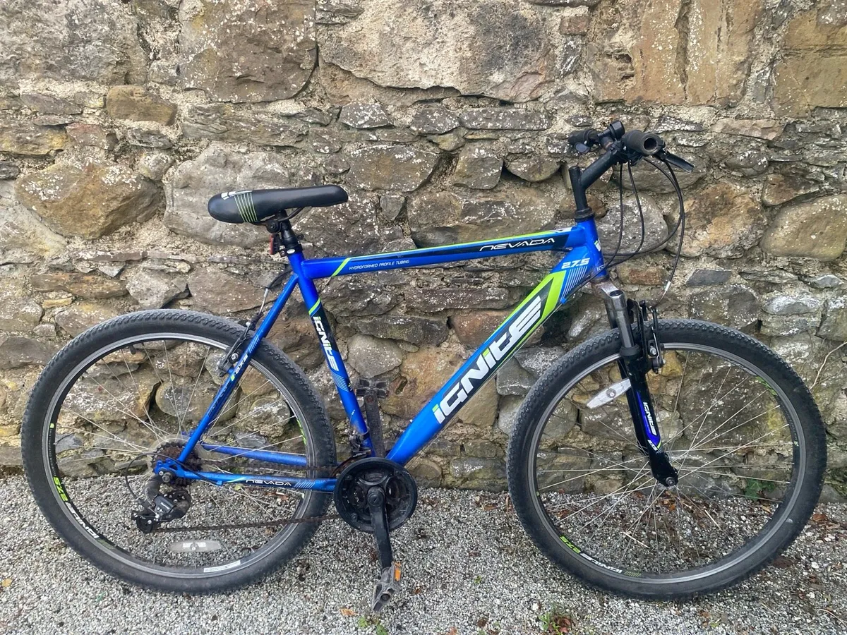 Ignite mountain bike - Image 1