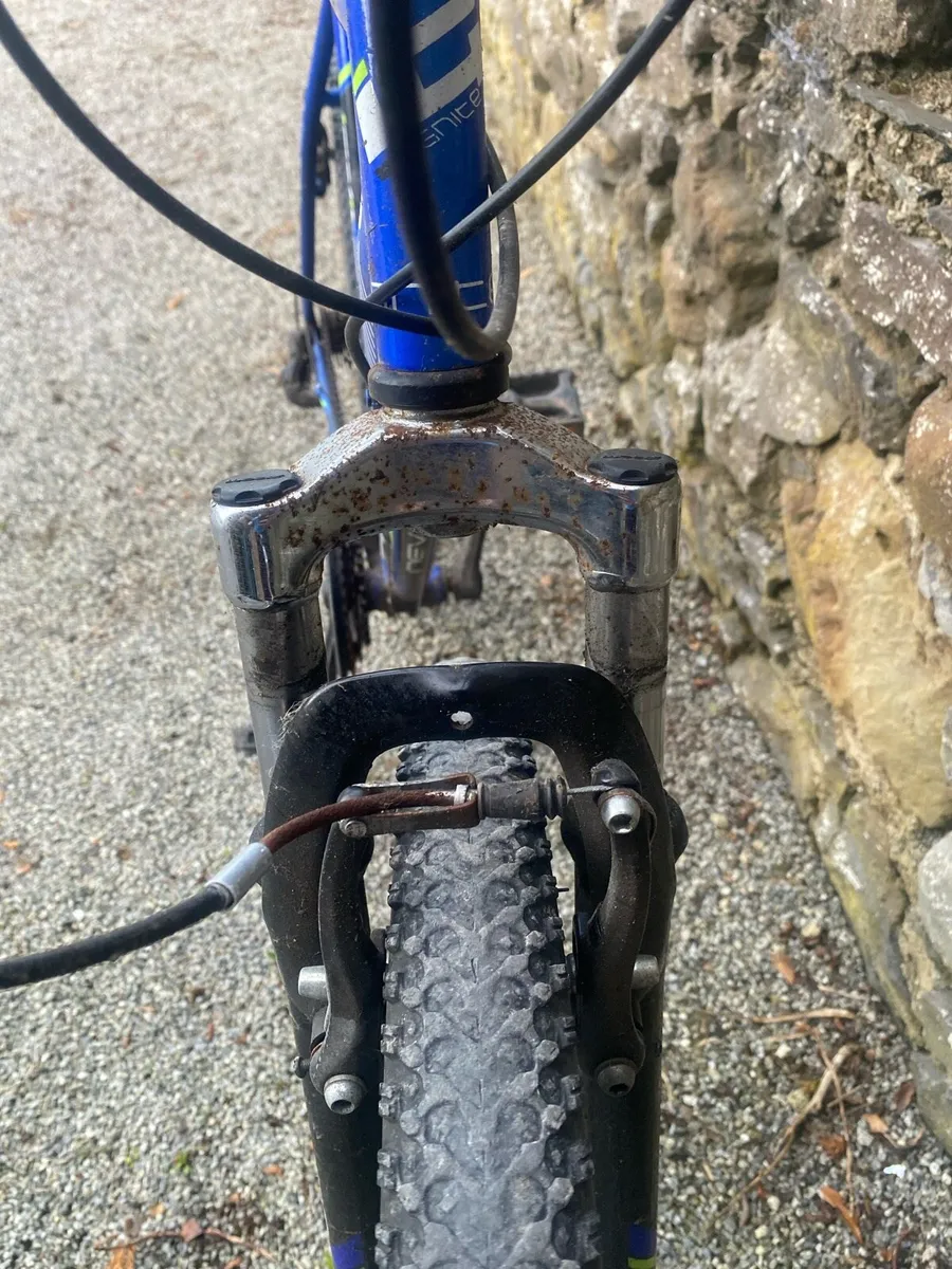 Ignite mountain bike - Image 3