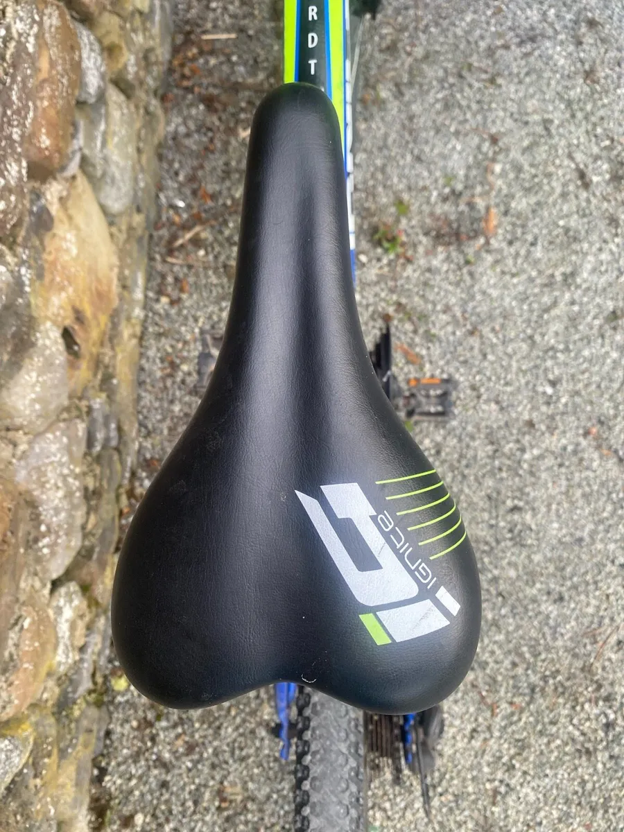 Ignite mountain bike - Image 4