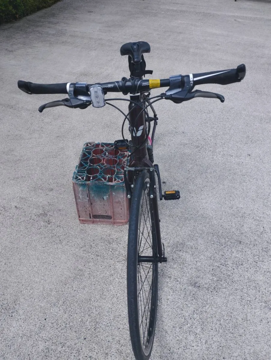 Ladies Bike - Image 2