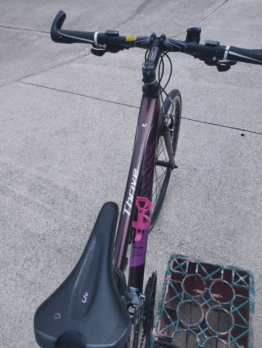 Ladies Bike - Image 3