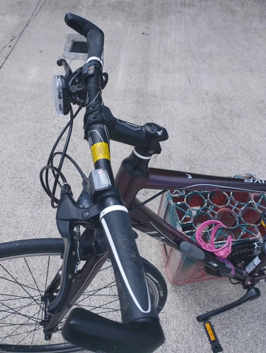 Ladies Bike - Image 4