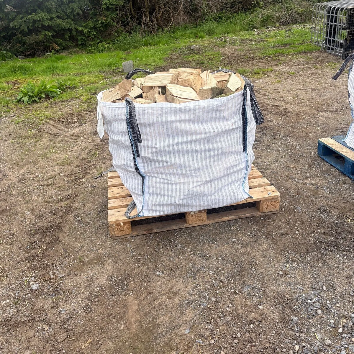 Ash fire wood Dry - Image 1