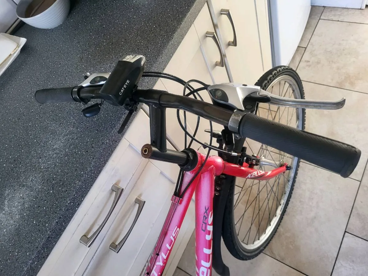 Bike - Image 4