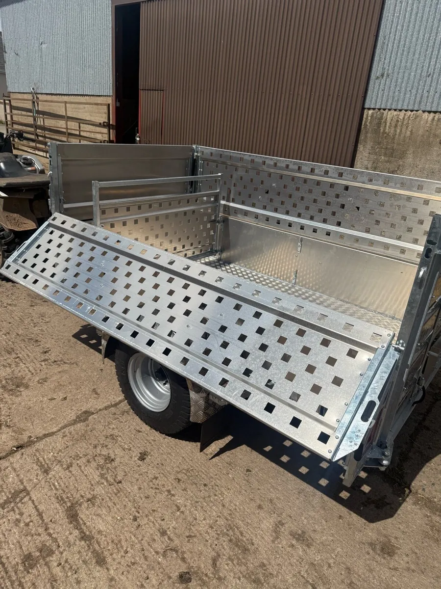 Quad sheep trailer 8x4’6 - Image 3