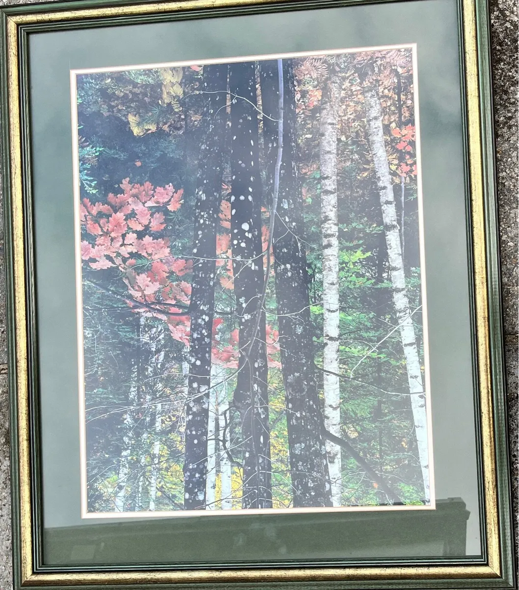 Landscape Photo Print - Image 1