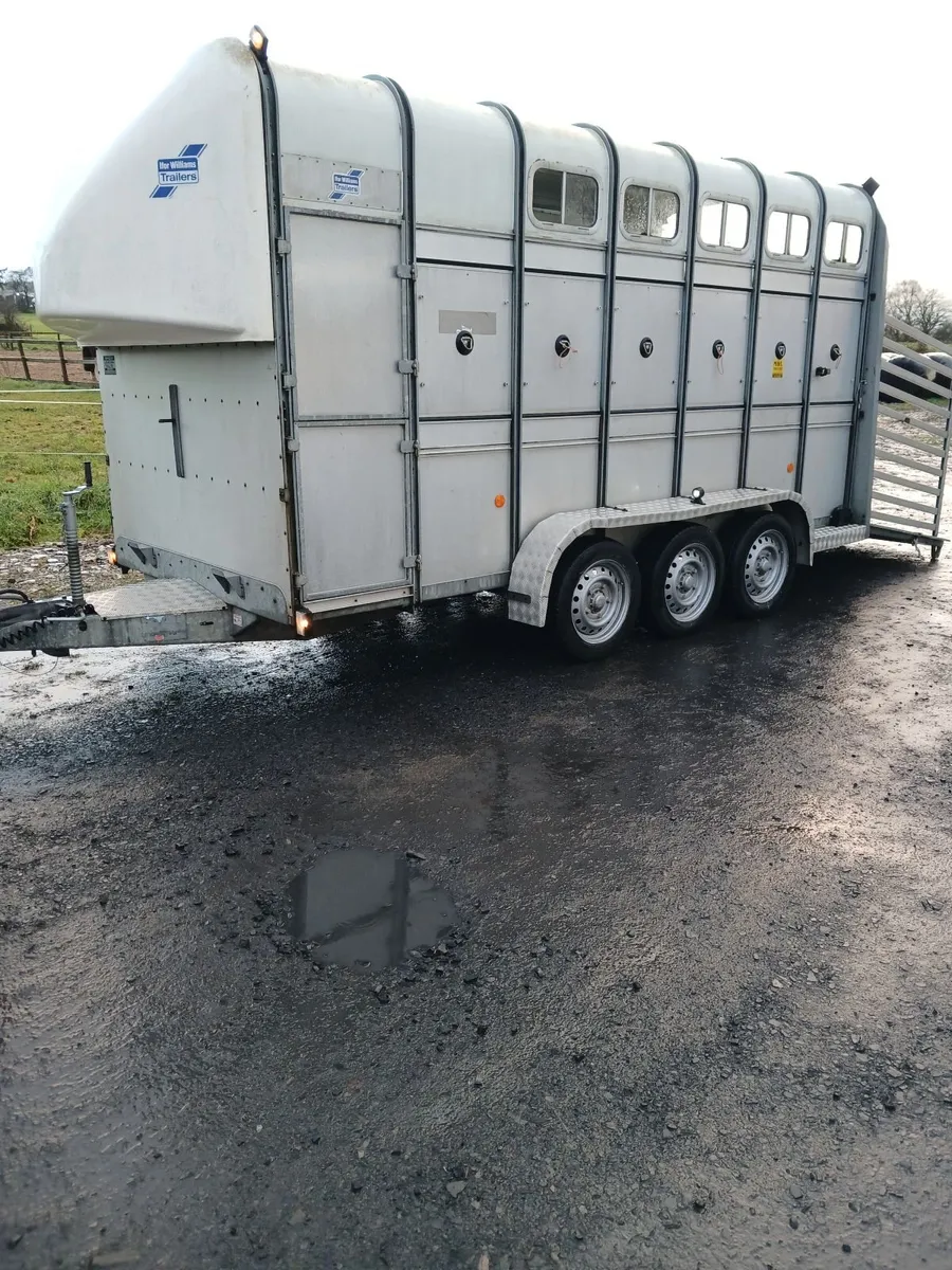 Horse box - Image 3