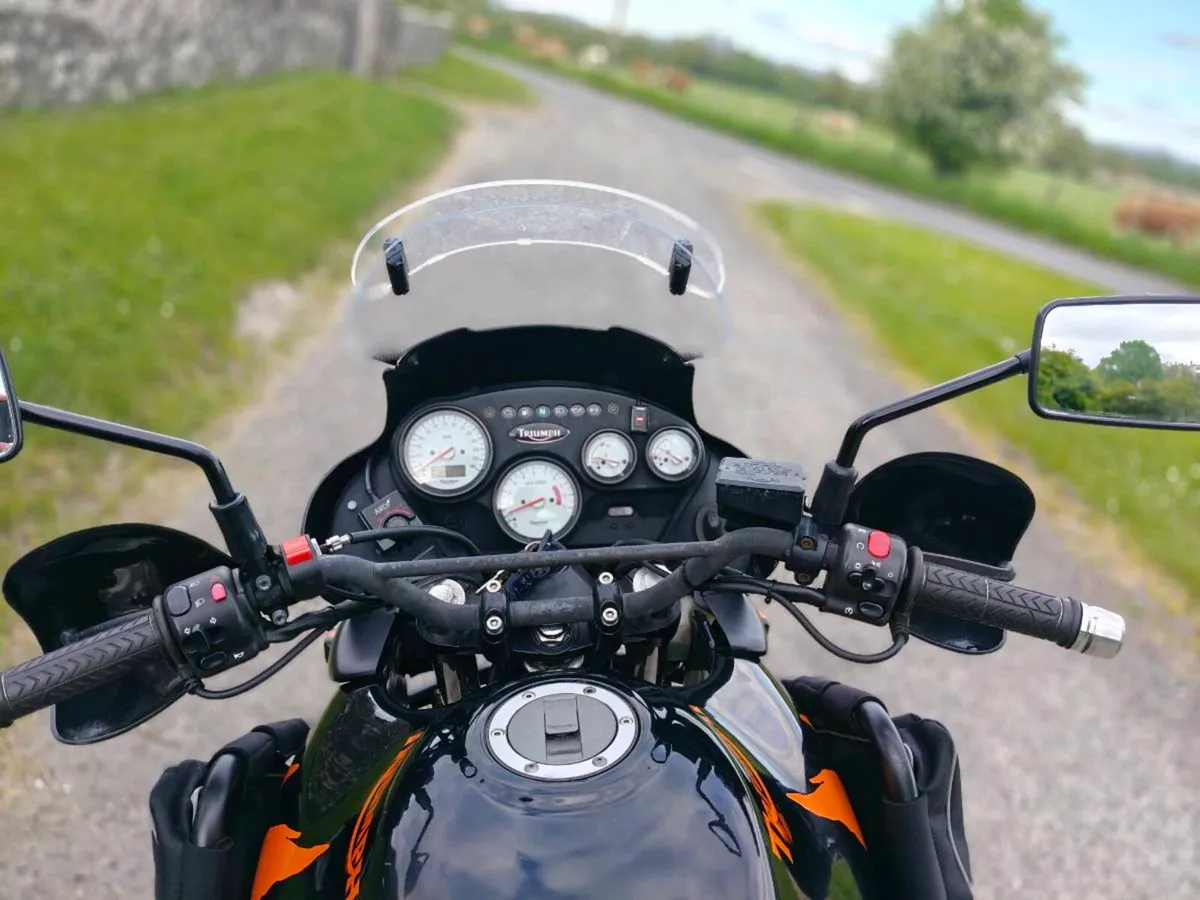 Triumph tiger 955i - Image 4
