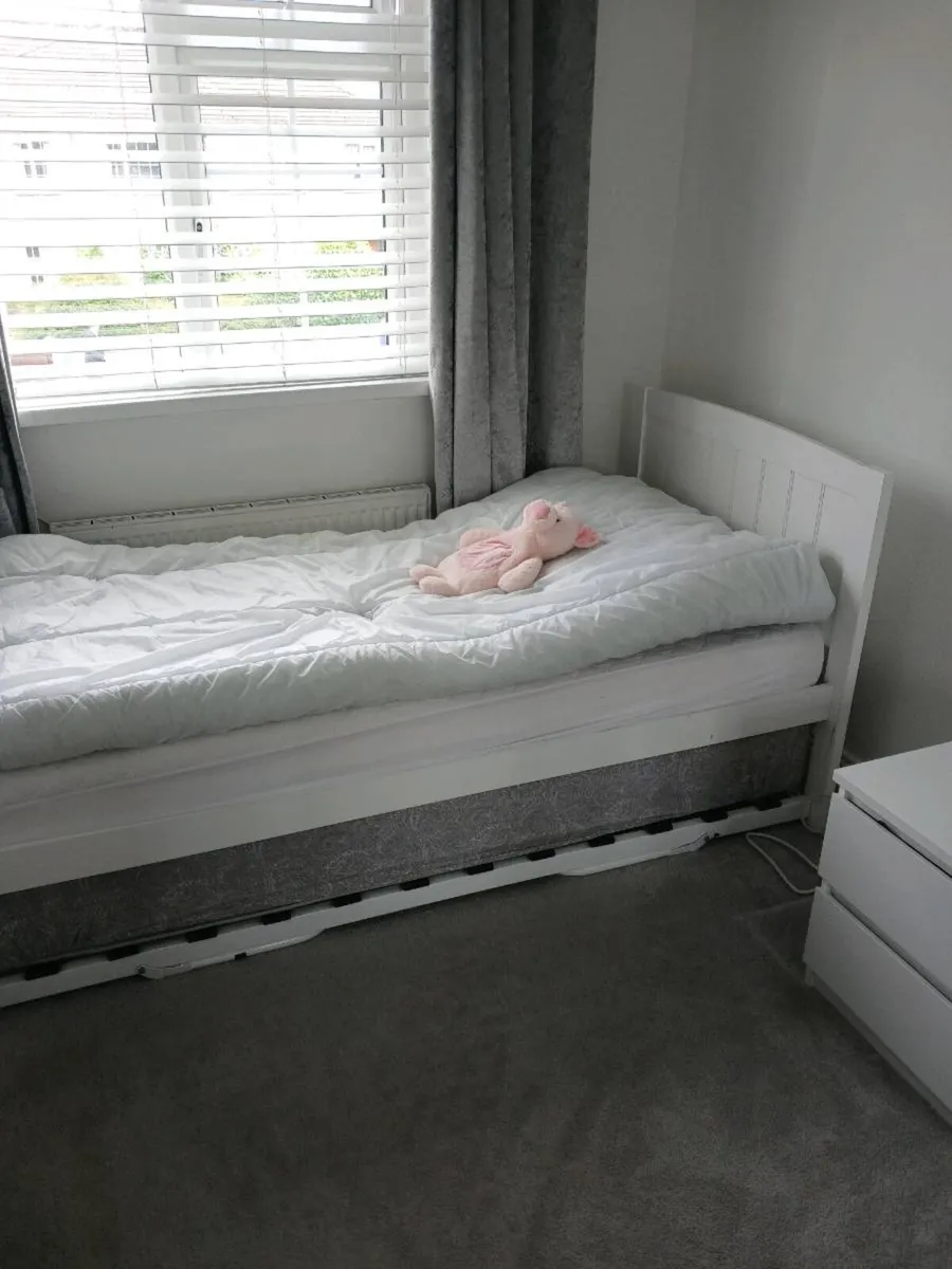 Single bed and trundle - Image 1