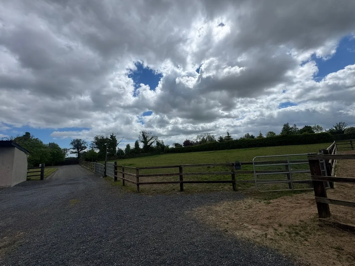 6 stables  walker sand paddock half acre paddock - Image 3