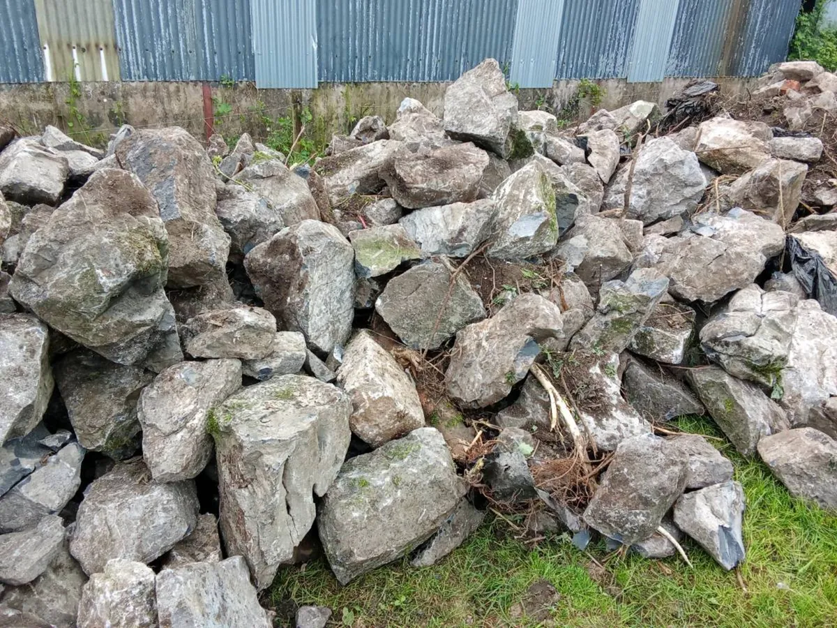 Limestone - Image 2