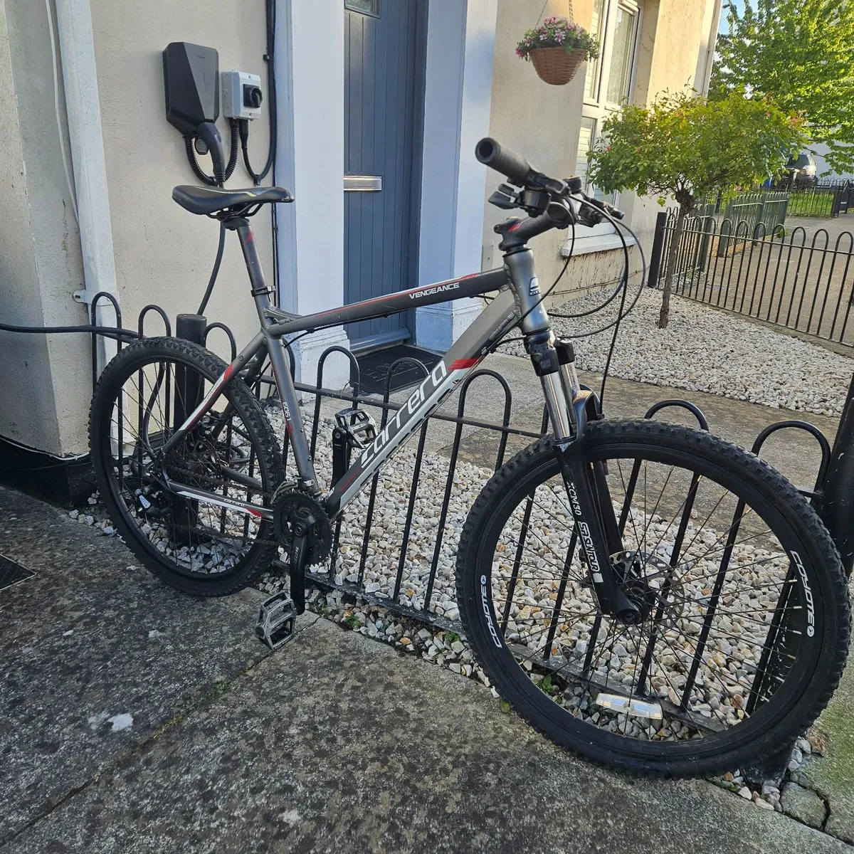 Carrera delivery available - Image 1