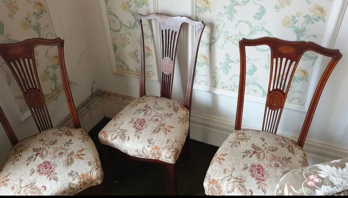 Antique chairs - Image 3
