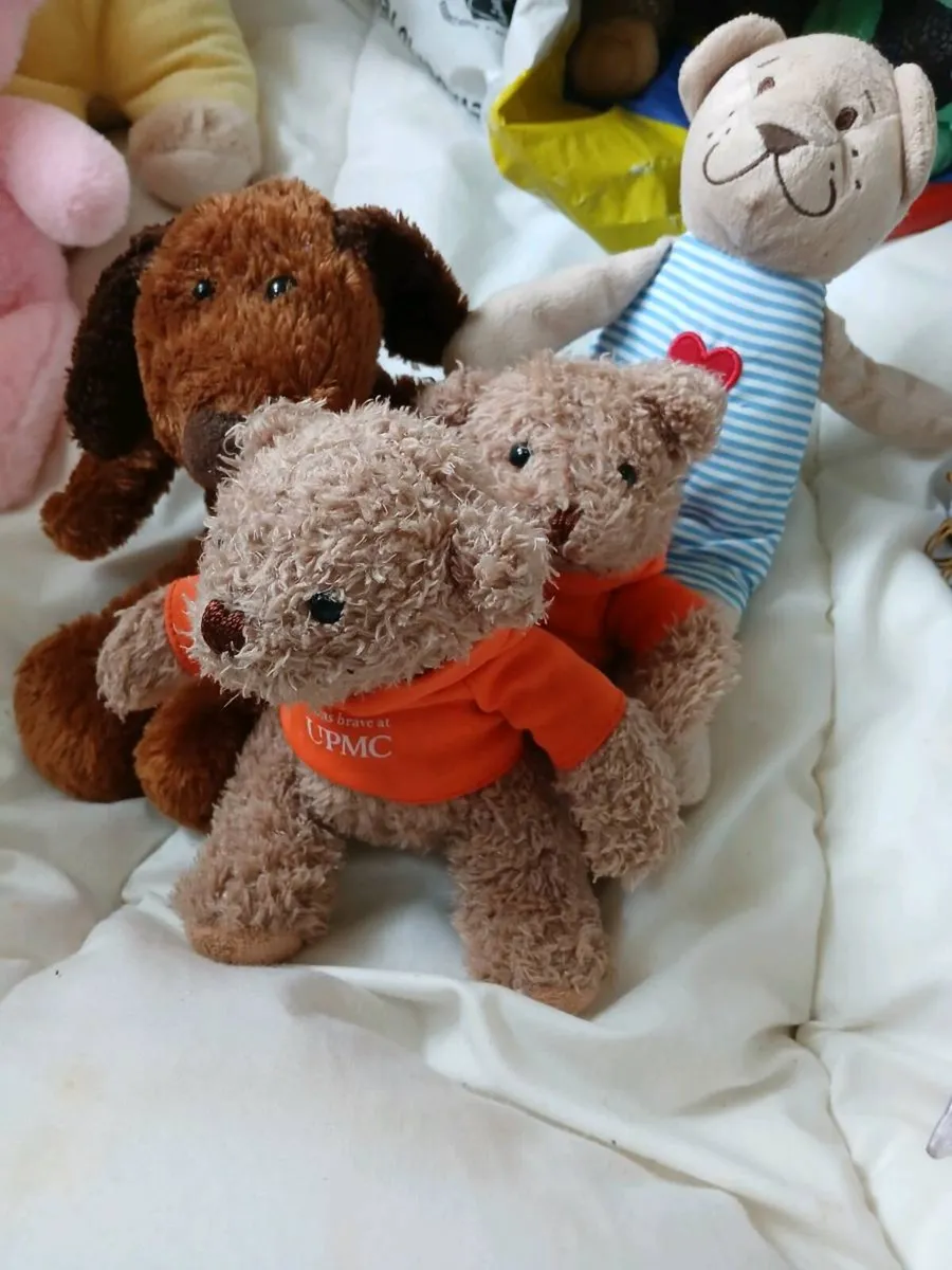 Teddy bears