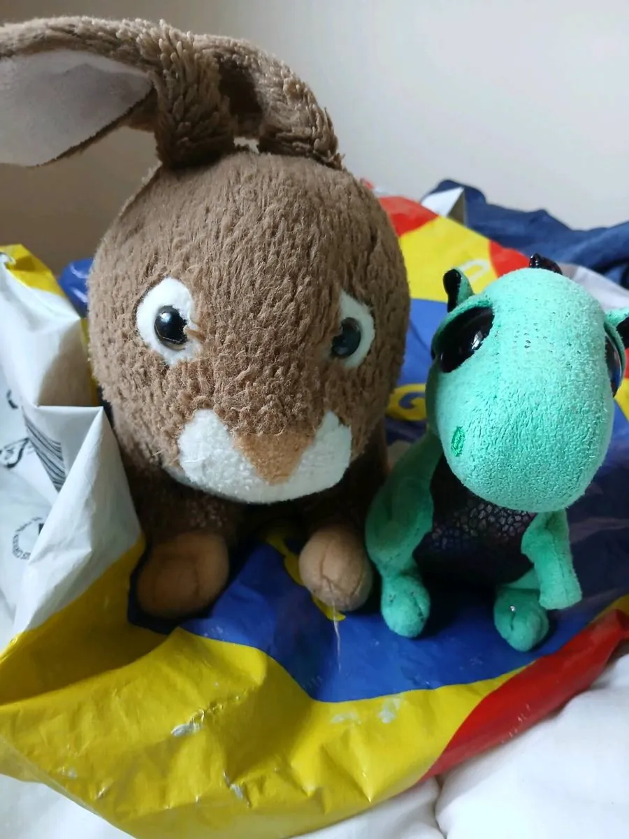 Teddies