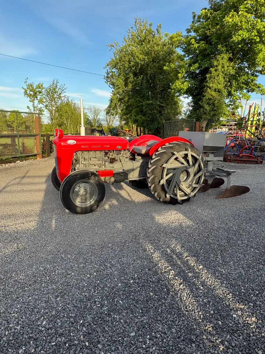 Massey Ferguson 35 with Potato Planter - Image 3
