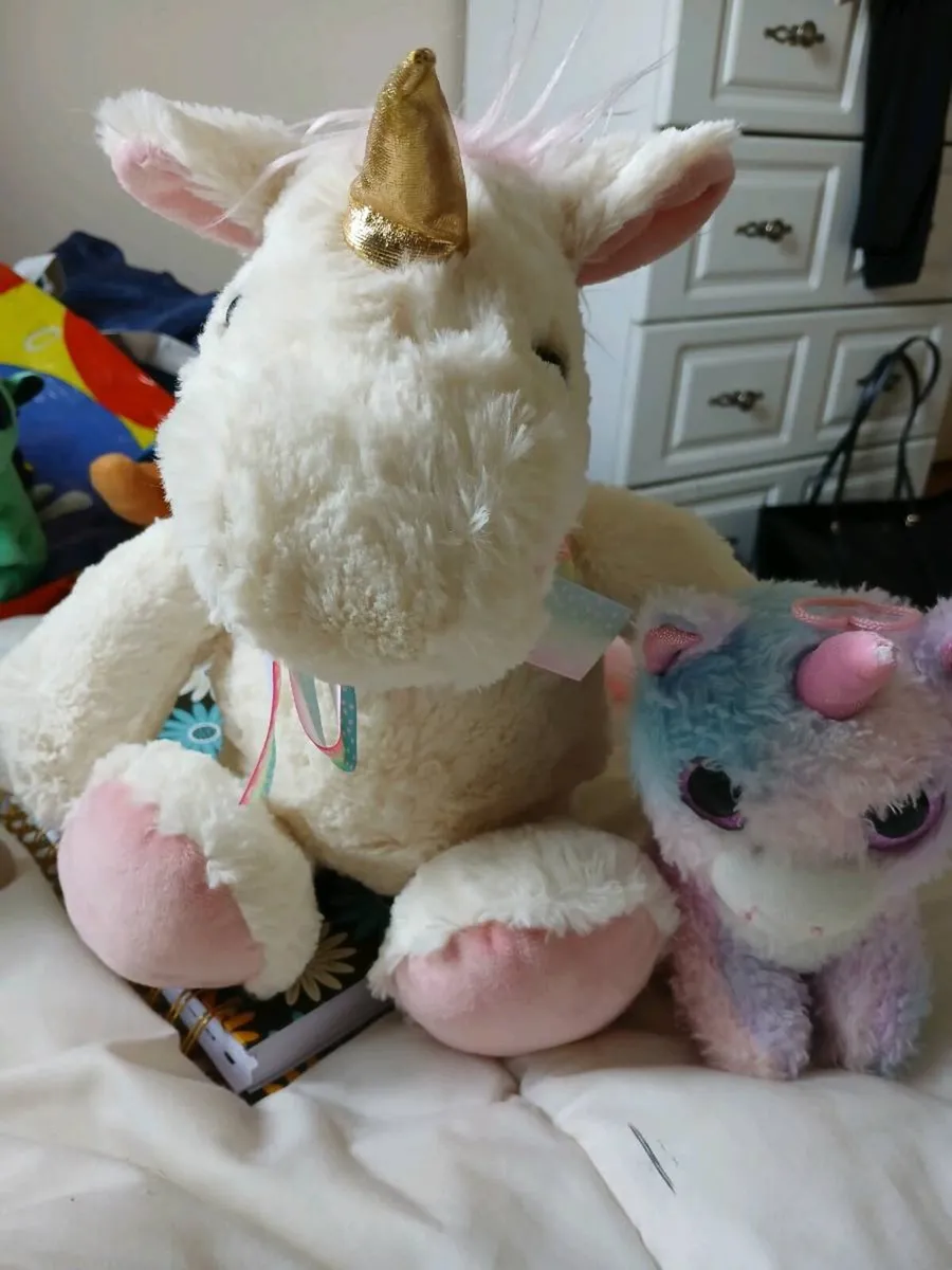 Teddies