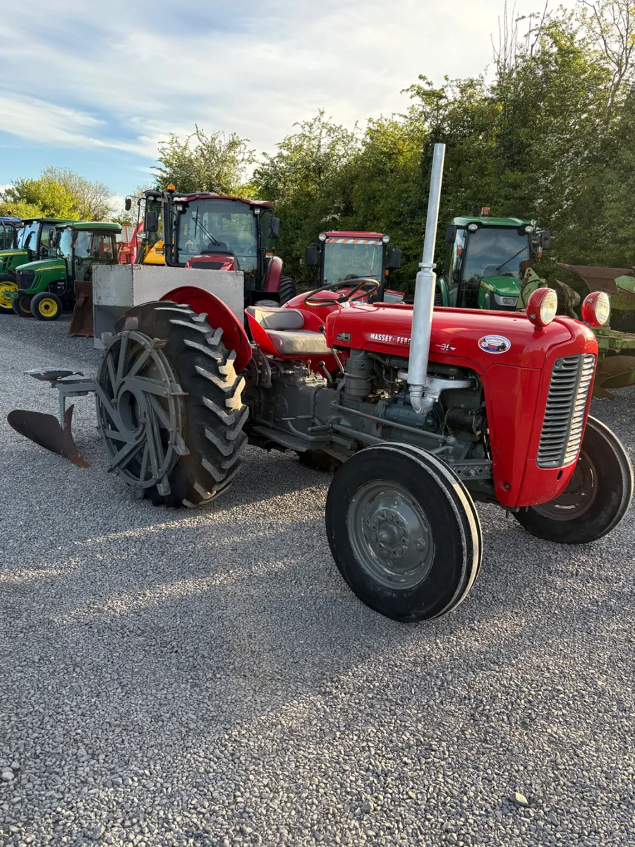 Massey Ferguson 35 with Potato Planter - Image 1