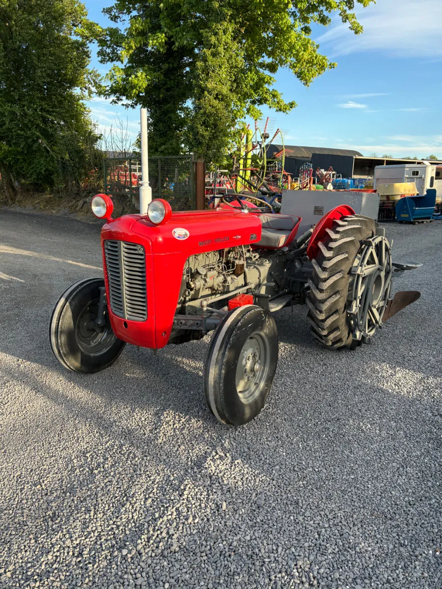 Massey Ferguson 35 with Potato Planter - Image 2