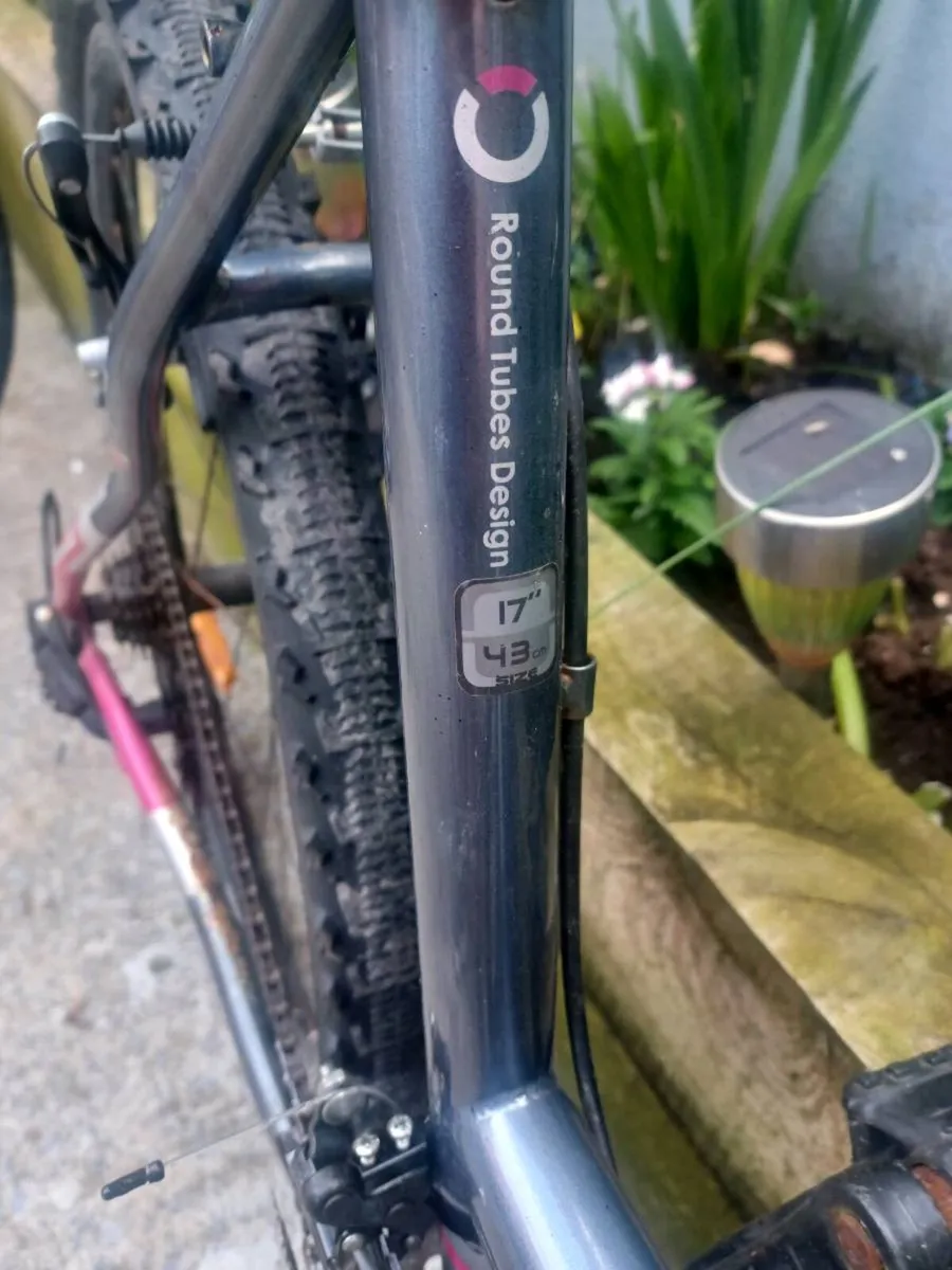 Drag woman's bike - Image 3