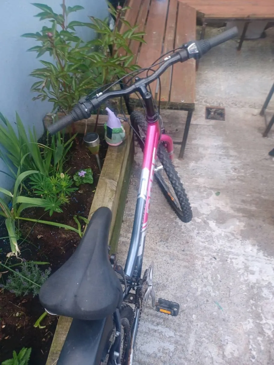 Drag woman's bike - Image 4