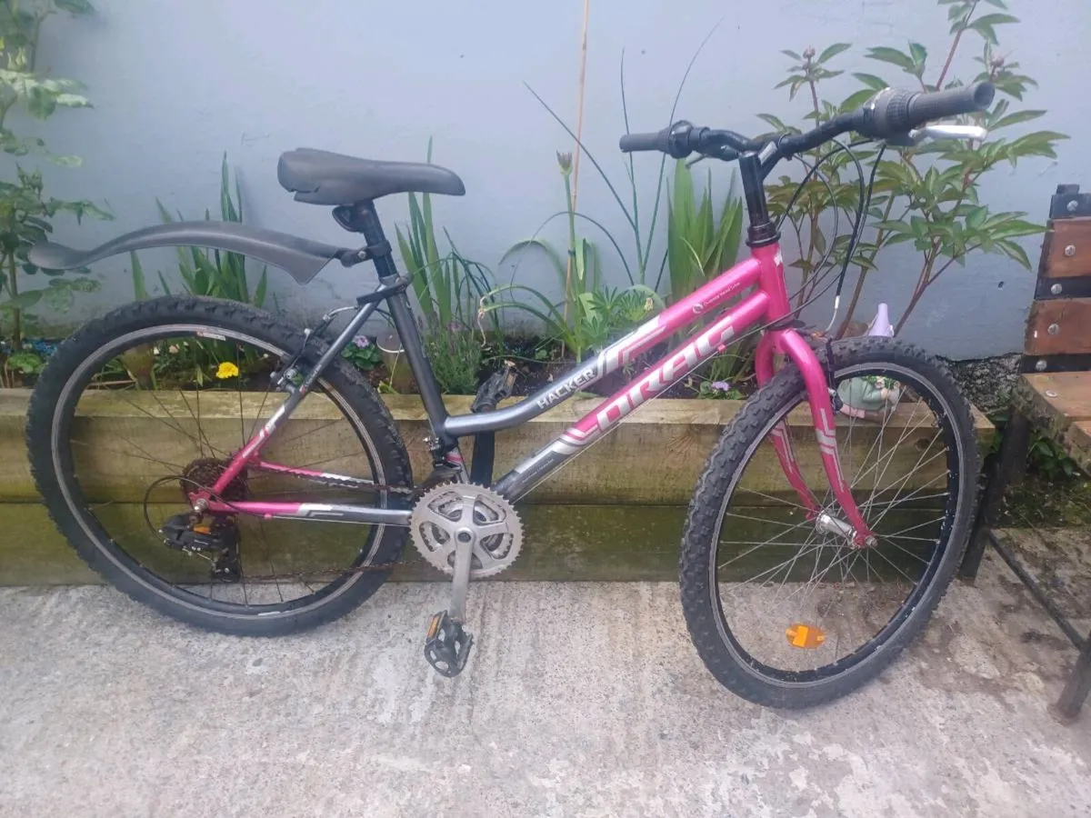 Drag woman's bike - Image 1