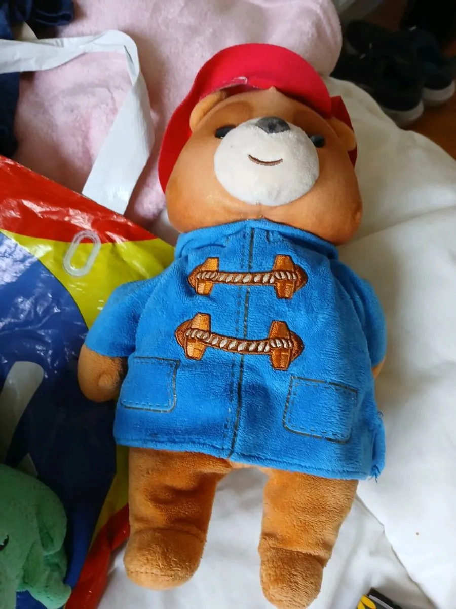Teddy