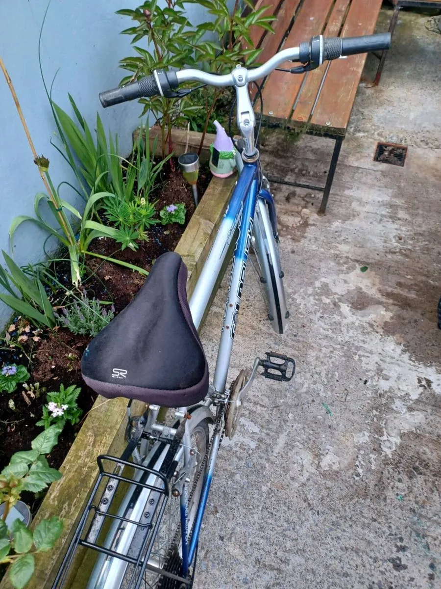 Goldrush mens Hybrid bike - Image 3
