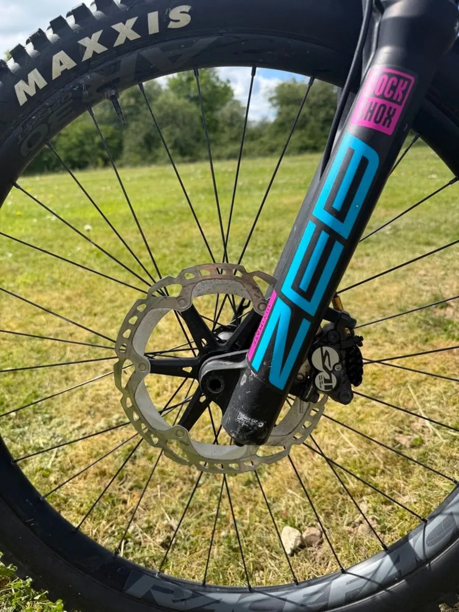 Canyon Torque 6 XL 2022 - Image 3