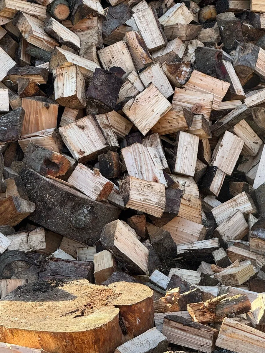 Logs for sale Trailer loads or 1 ton bags - Image 1