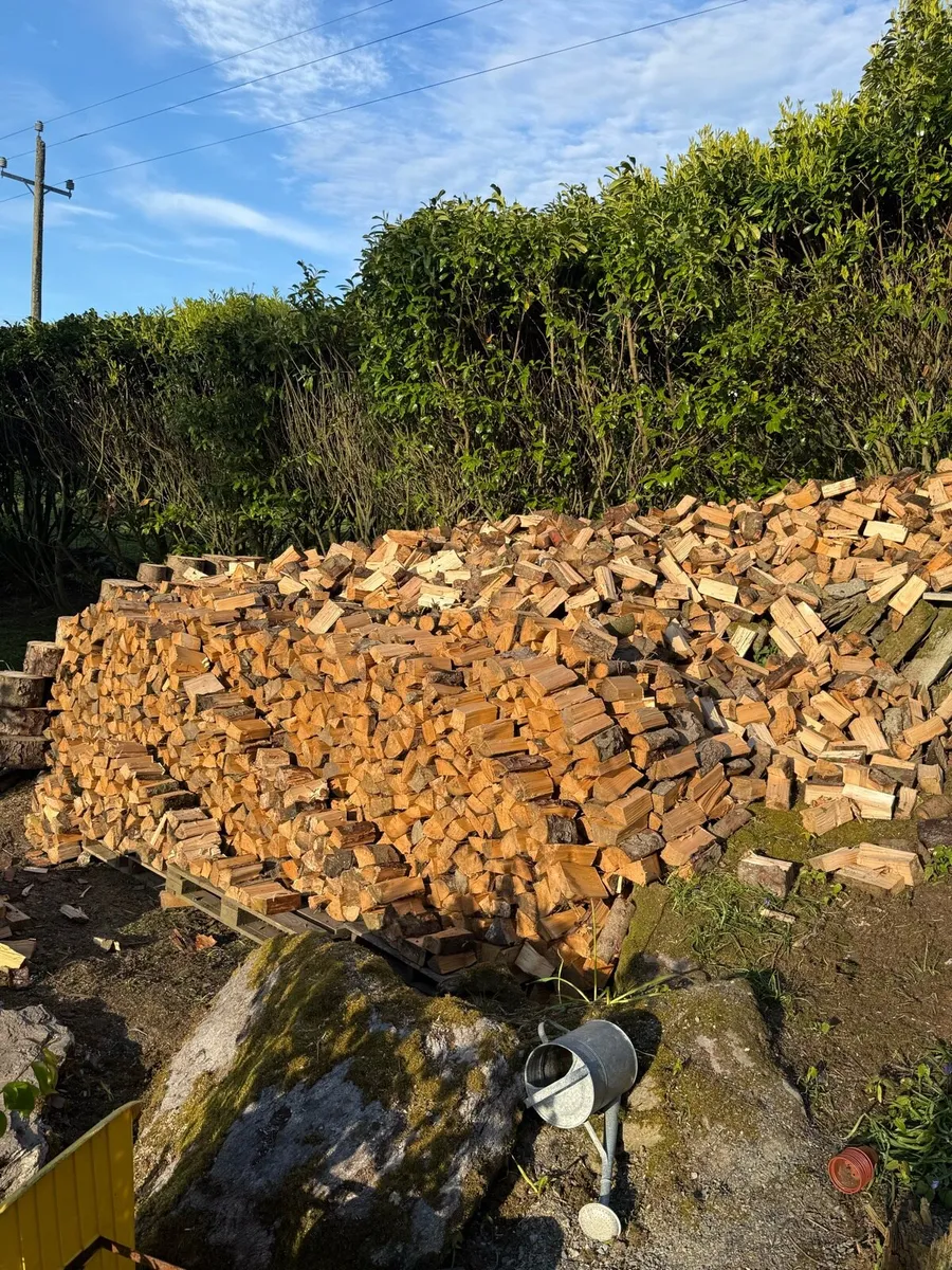 Logs for sale Trailer loads or 1 ton bags - Image 2