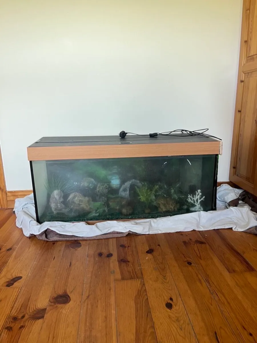Fish tank - Image 1