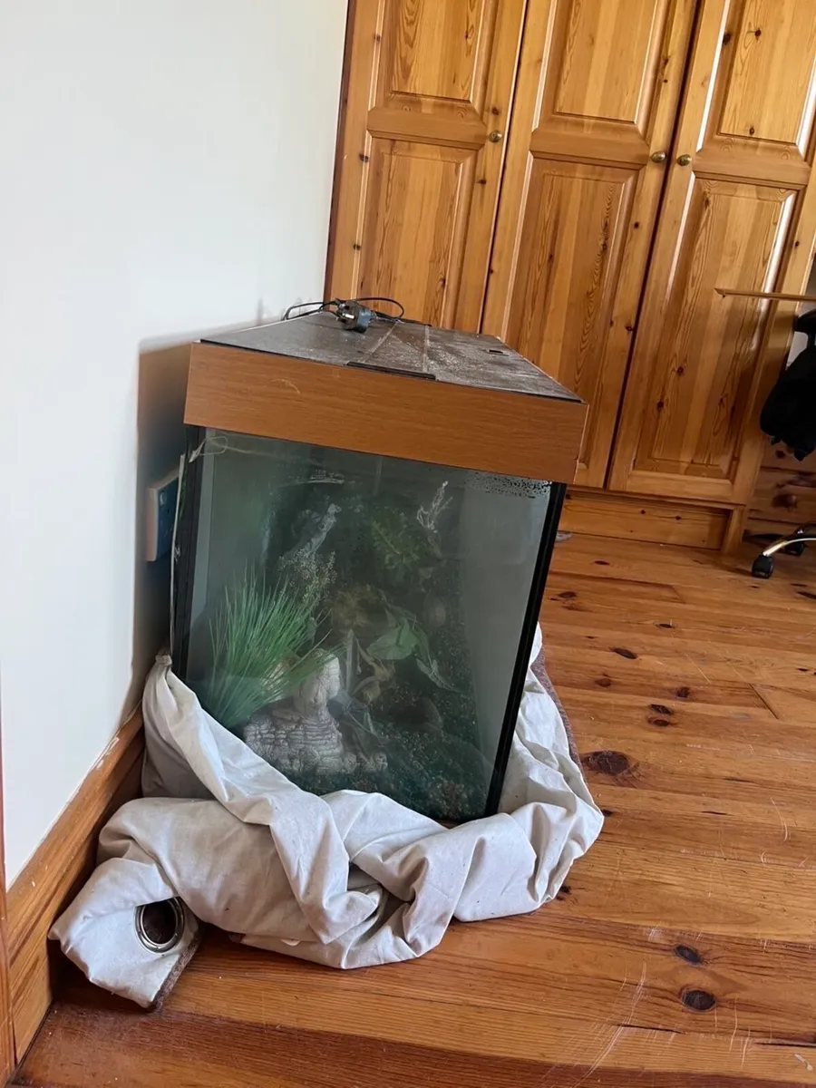 Fish tank - Image 2