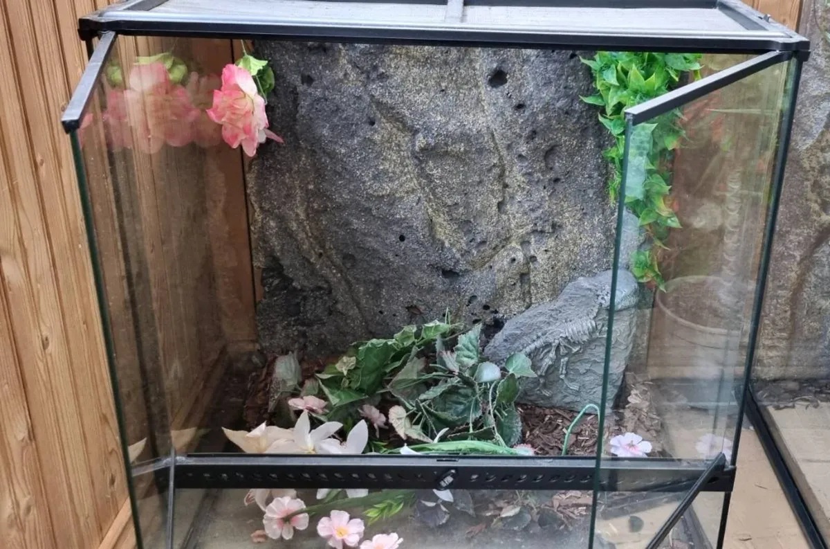 Exo Terra 60x45x60 Vivarium - Image 1