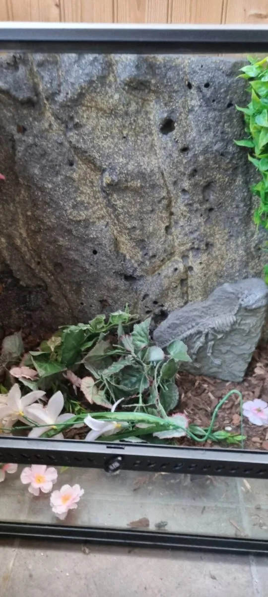 Exo Terra 60x45x60 Vivarium - Image 2